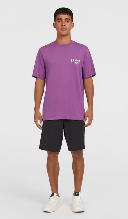 Image du produit O'Neill Short Hybrid Chino 19 (Bande de fréquences 38 (2600 MHz))