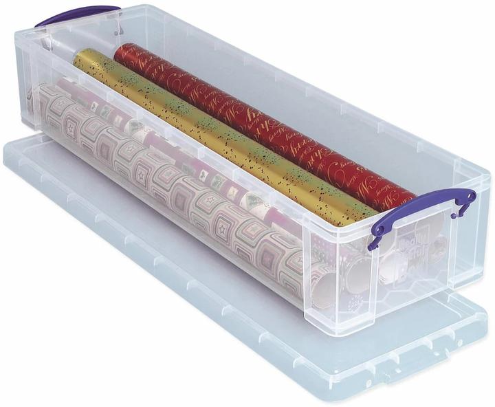 Really Useful Box Storage Box (16 x 25.5 x 80 cm, 22 l)