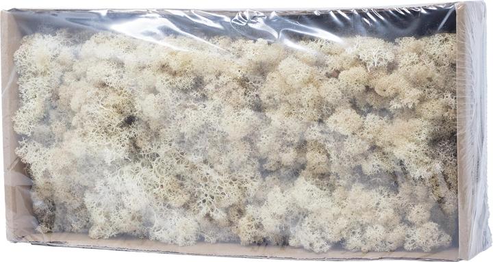 Actual product image Flowerbox Iceland moss