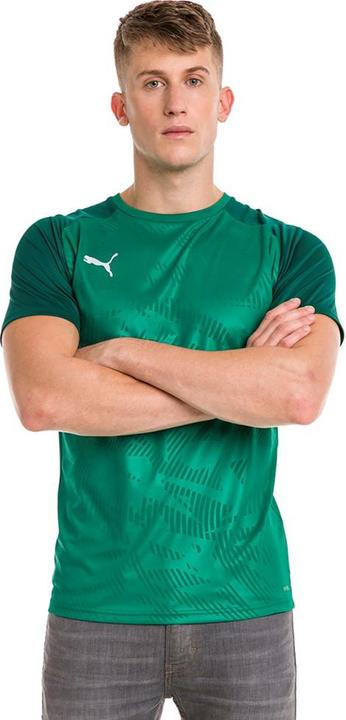 Actual product image Puma CUP Training Jersey Core (S)