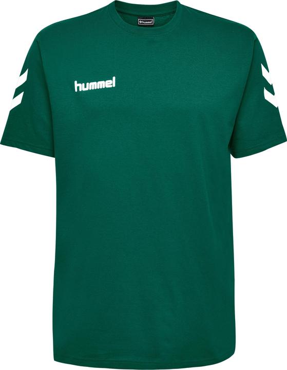 Actual product image hummel Go Cotton T-Shirt S/S (M)