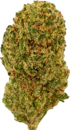 Produktbild Green Passion Maui Wowy Popcorn (10 g, Indoor)