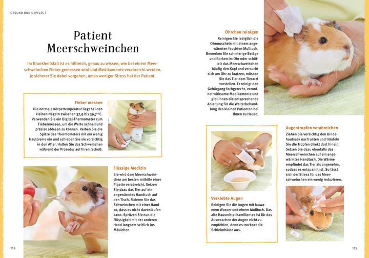 Actual product image Neugierige Meerschweinchen - So fühlen sie sich wohl (German, Immanuel Birmelin, 2015)
