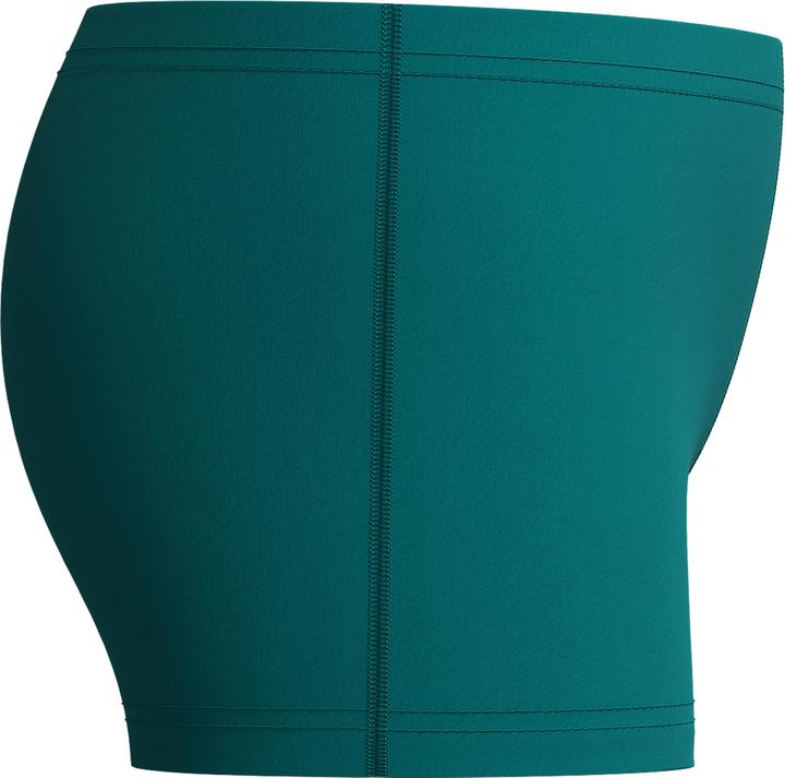 Image du produit Speedo Medley Logo Aquashort (176)