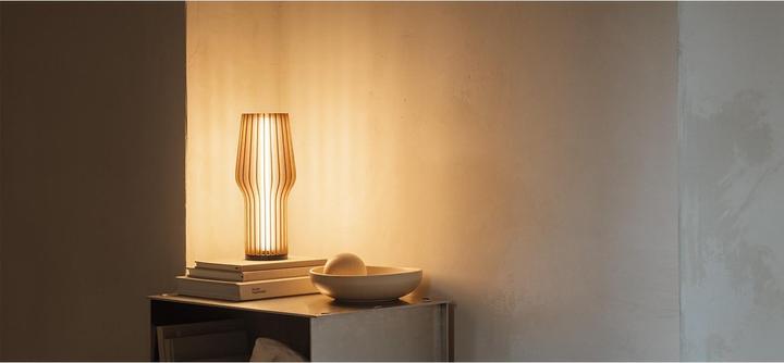 Image du produit Eva Solo Radiant (135.75 lm)