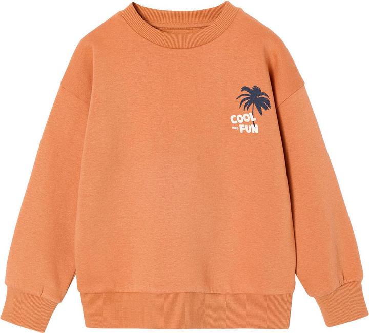 Produktbild Vertbaudet 2er-Pack Sweatshirts Cool & Fun Jungen (152)