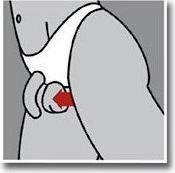 Immagine prodotto Svenjoyment Riostring Showmaster (M)