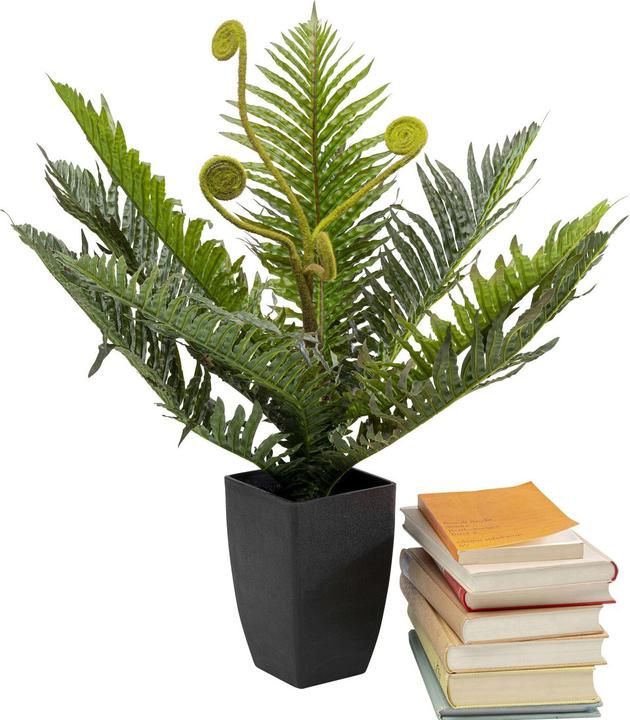 Produktbild Kare Design Deko Pflanze Farn 55cm