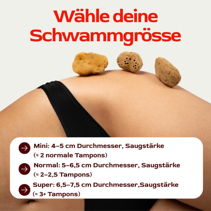 Image du produit Hera Organics Menstruationsschwämme (Mini)