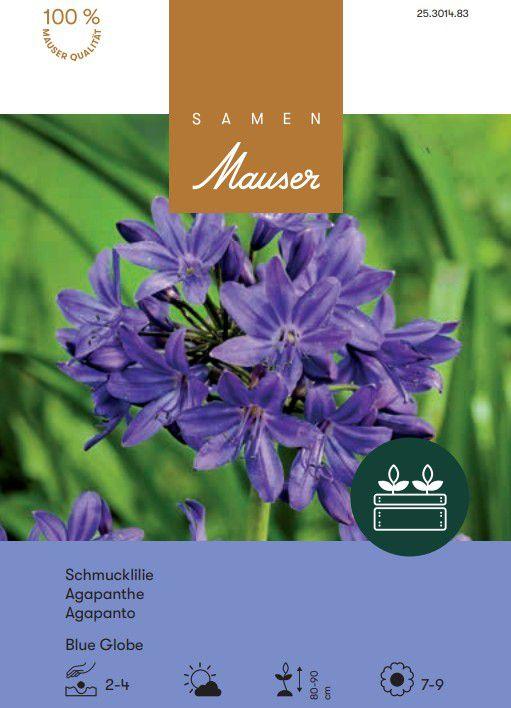 Image du produit Samen Mauser Agapanthus umbellatus Blue Globe (Graines de fleurs)