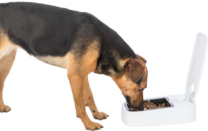 Produktbild Trixie Futterautomat (0.30 l)