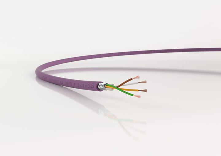 Immagine prodotto Lapp 10 metri 2170273 Cavo bus Unitronic BUS CAN FD P 2x2x0,25 mm² schermato I conduttore altamente (10 m)