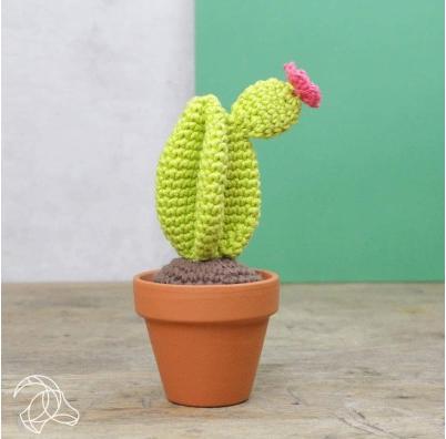 Actual product image Hardicraft Cacti - Crochet Set