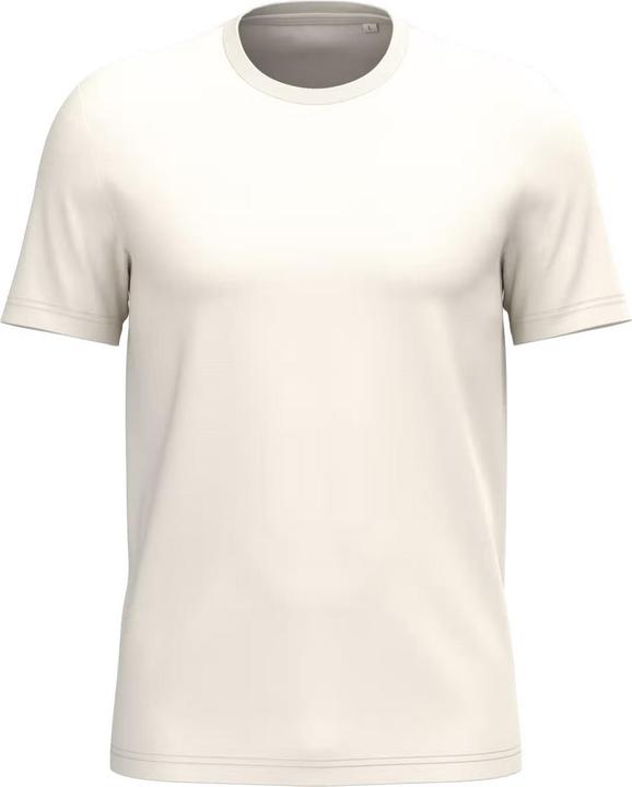 Ivory, raw natural