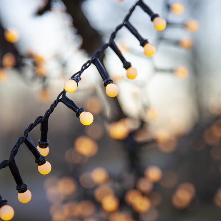 Actual product image Star Trading Berry Mini (19 m)