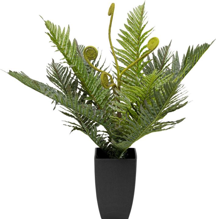 Produktbild Kare Design Deko Pflanze Farn 55cm