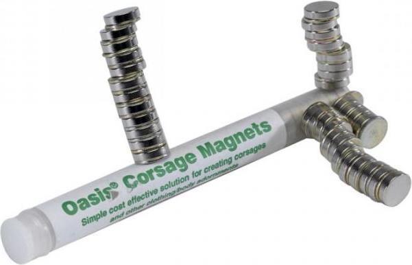 Actual product image Oasis Corsage Magnets, 1 cm Ø
