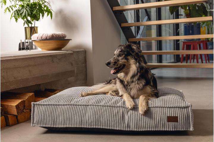 Produktbild Designed by Lotte Ribbed (Hund)