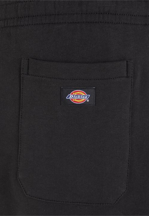 Actual product image Dickies 154184 (M)