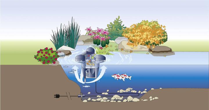 Produktbild Oase SwimSkim 50