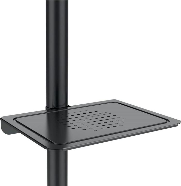 Actual product image Maclean MC-949 (55", 25 kg)