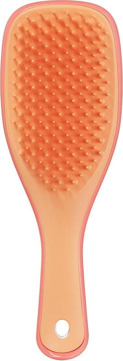 Produktbild Tangle Teezer Wet Detangler Mini