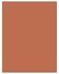 Actual product image Sisley Phyto Blush Twist (5 Contour)