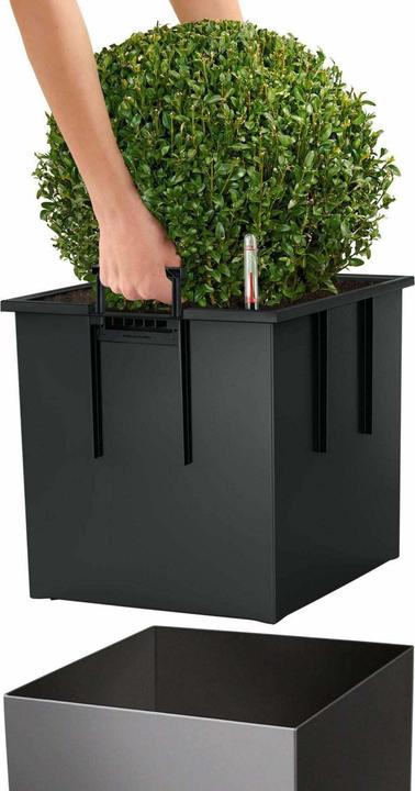 Productafbeelding Lechuza Kubus (39 x 39 x 40 cm)