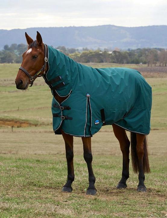 Actual product image Weatherbeeta Comfitec Classic Combo 220g