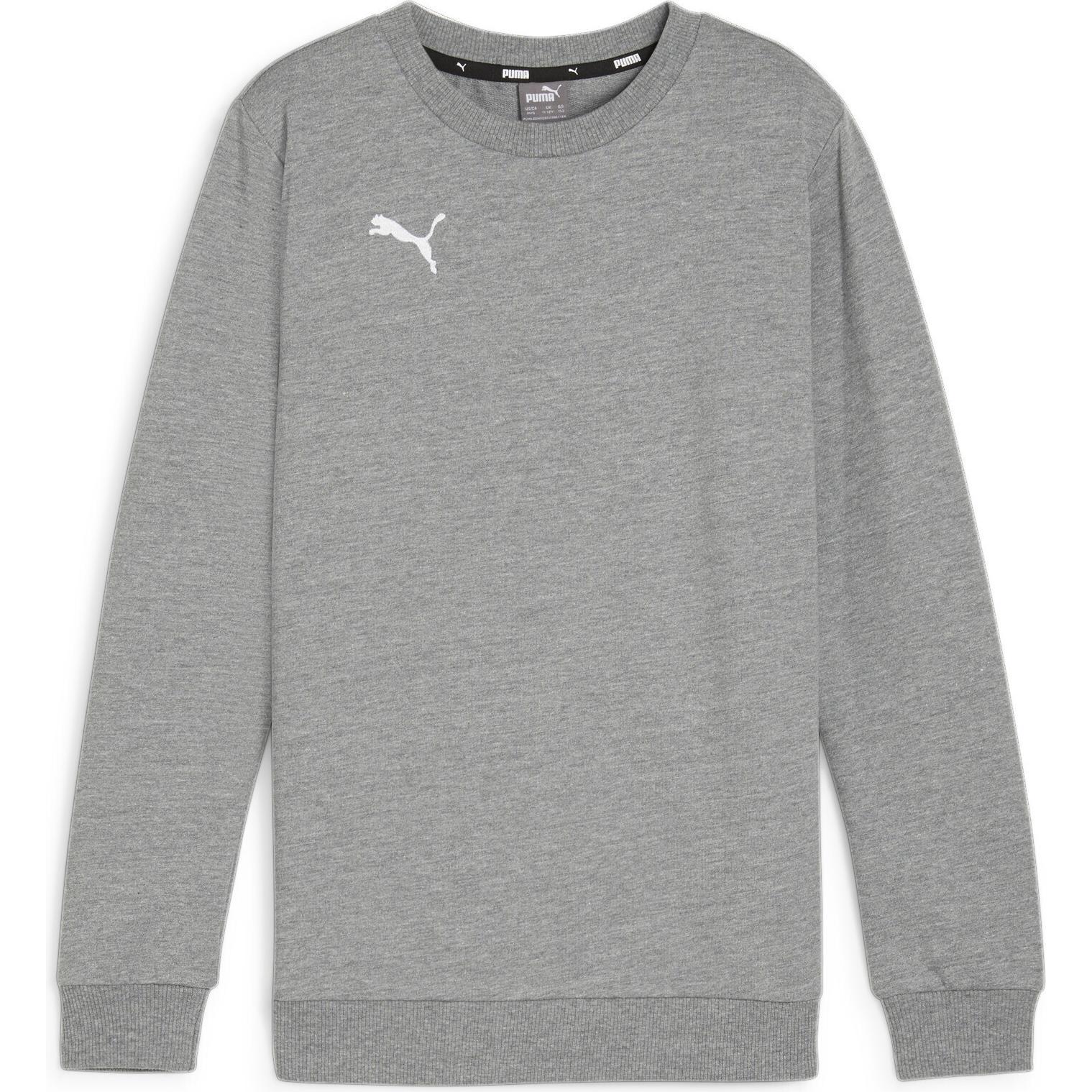 Puma, Herren, Pullover, teamGOAL Casuals Crew Neck Sweat Jr, Grau, (128)