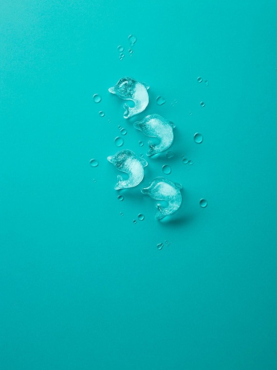 Actual product image Lékué Dolphin
