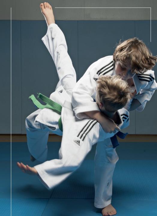 Image du produit adidas JUDO GI J500 (L)