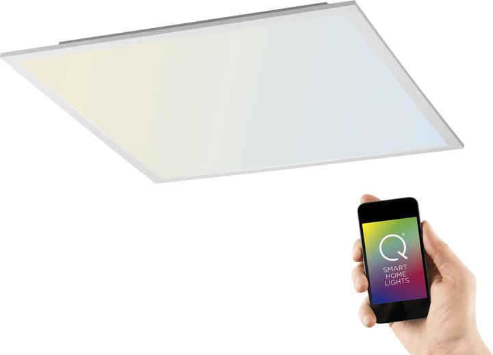 Actual product image Paul Neuhaus Q flag (5200 lm)