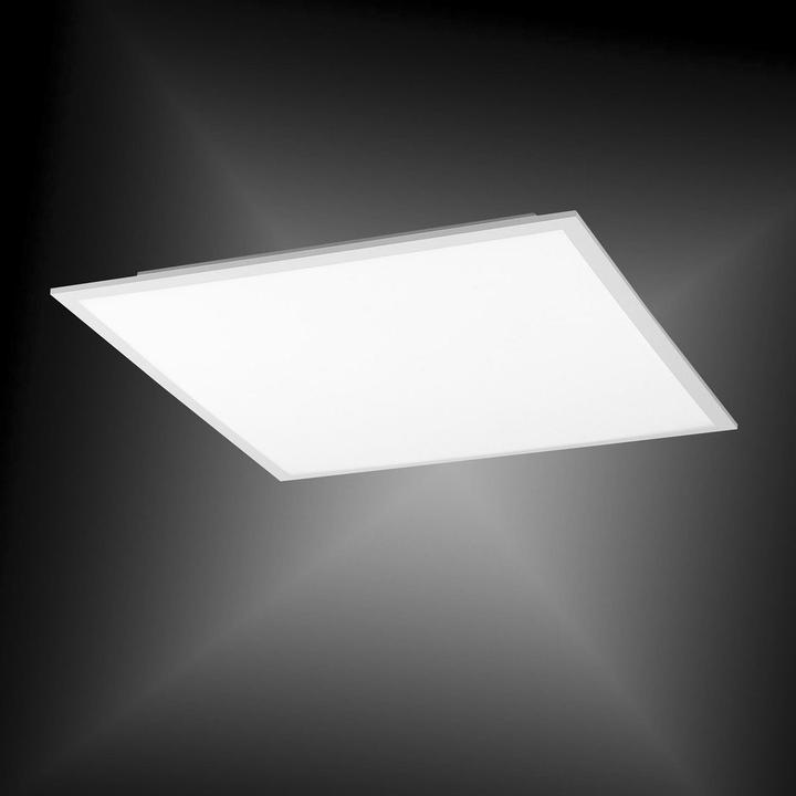 Actual product image Paul Neuhaus Q flag (5200 lm)