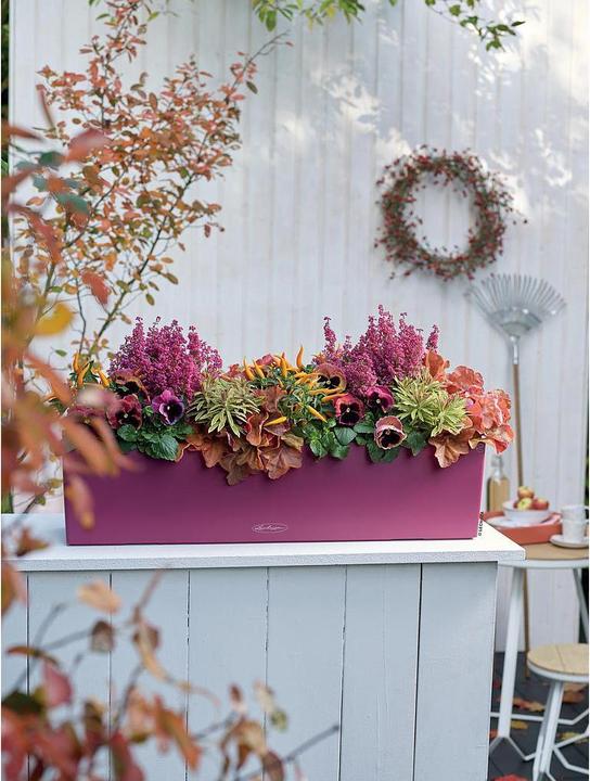 Productafbeelding Lechuza Balconera Kleur (79 x 19 x 19 cm)