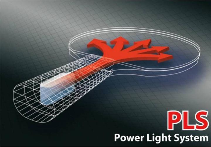 Actual product image Donic Schildkröt Legends 800 Table Tennis Bat