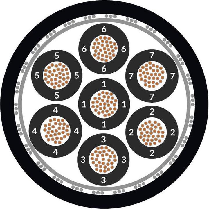 Image du produit Lapp Câble ferroviaire (100 m)