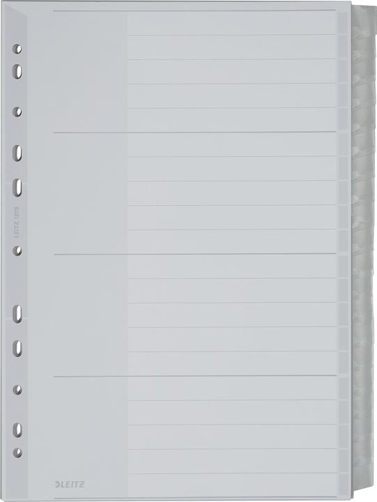 Actual product image Leitz Register