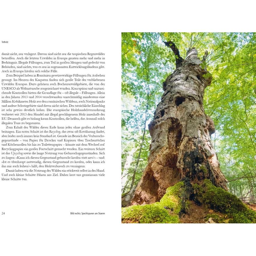 Thumbnail - Wunderwelt Totholz, Fachbücher von Farina Grassmann