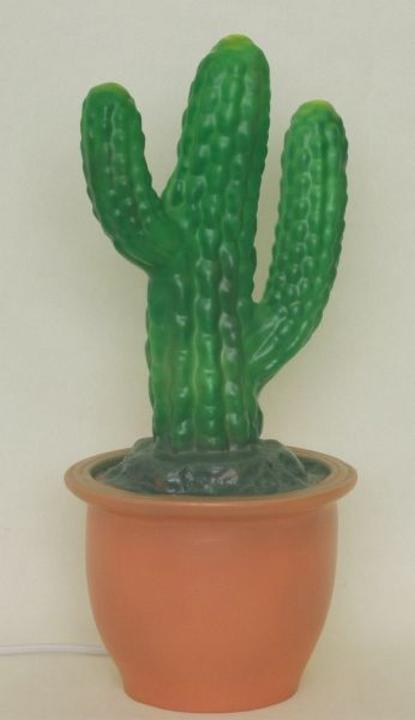 Produktbild Egmont Finger Kaktus im Blumentopf