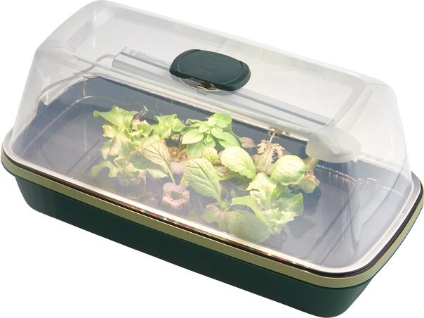 FARMii Mini-Gewächhaus Plus "Green Edition" mit LED-Licht