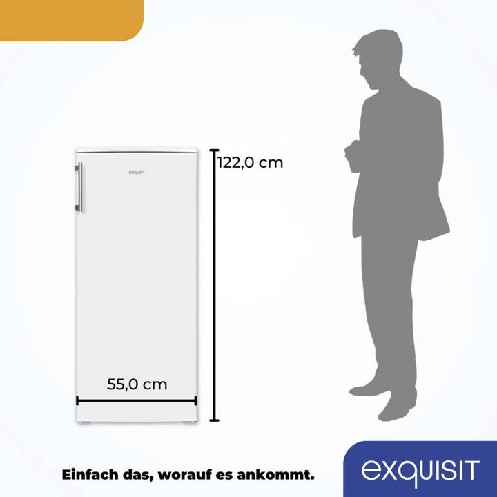 Immagine prodotto Exquisit KS185-4-HE-040E (190 l)