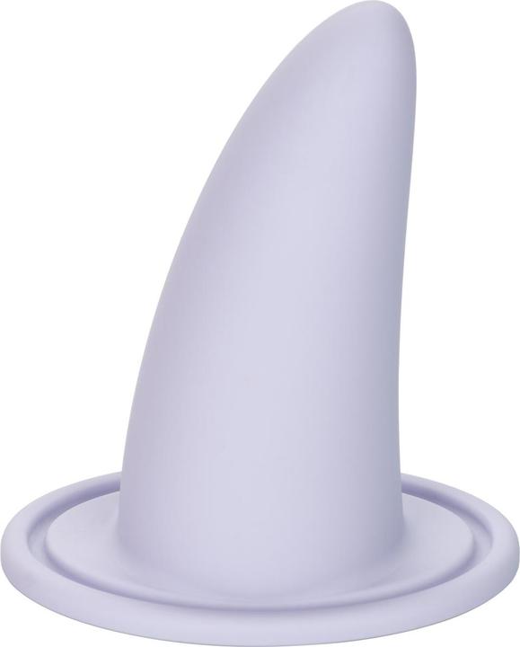 Actual product image CalExotics She-ology® Advanced 3-Piece Wearable Vaginal Dilator Set