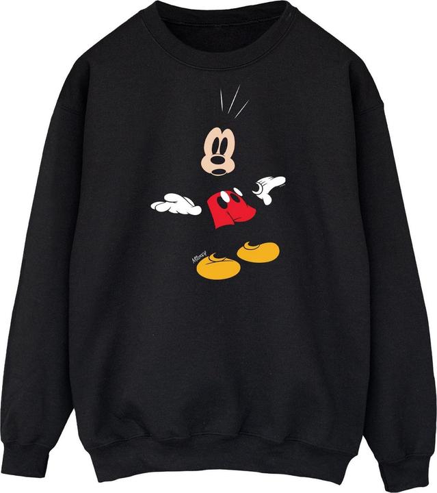 Produktbild Disney Sweatshirt (XL)