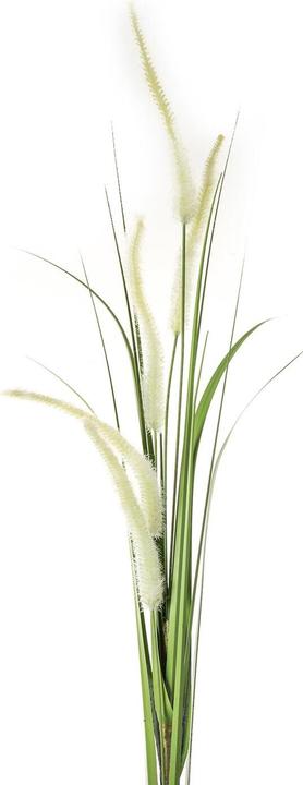Eurofirany KW/NATU/359/K K+GROEN (53 cm)