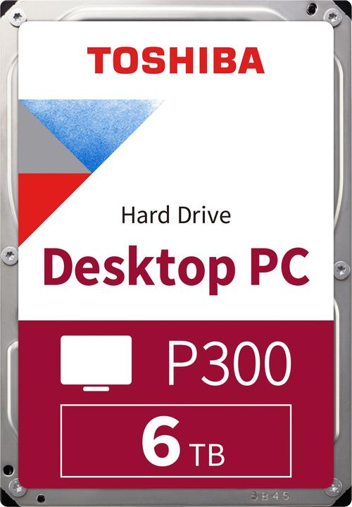 Toshiba P300