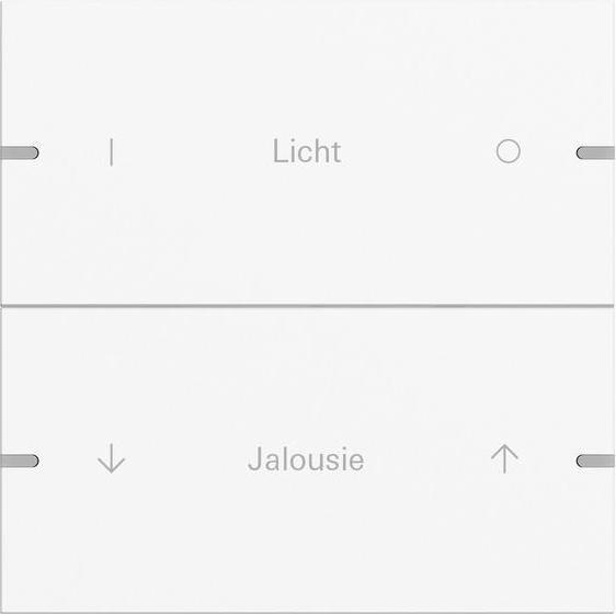 Actual product image Gira Rocker set 2f indiv. push-button sensor 4 TS4 5032927