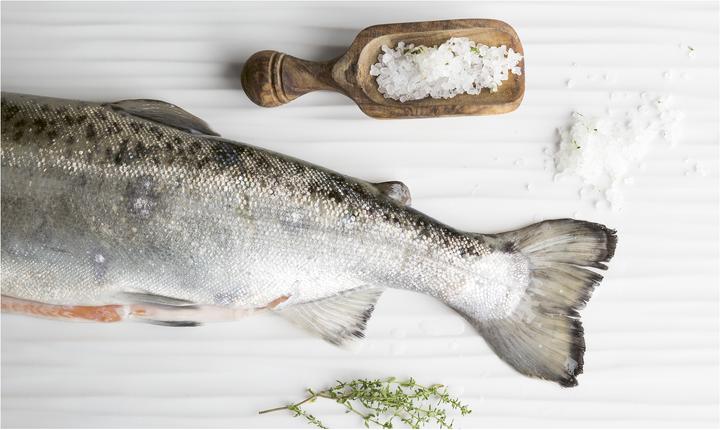 Produktbild Fisch echt einfach (Deutsch, Markus Moser, 2021)