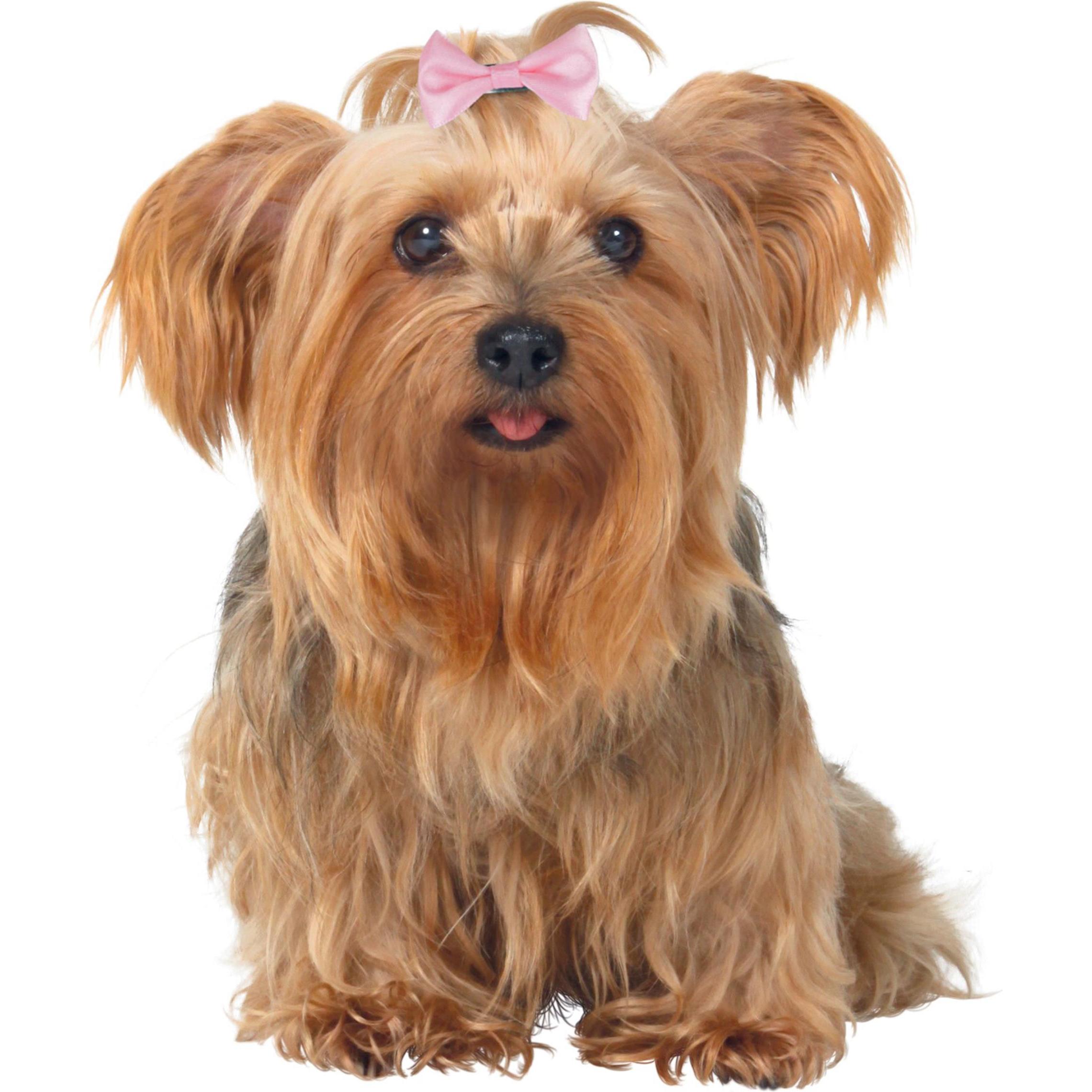 Trixie Hundeschleifen Set 10Stück 4–5.5 cm, Hundebekleidung