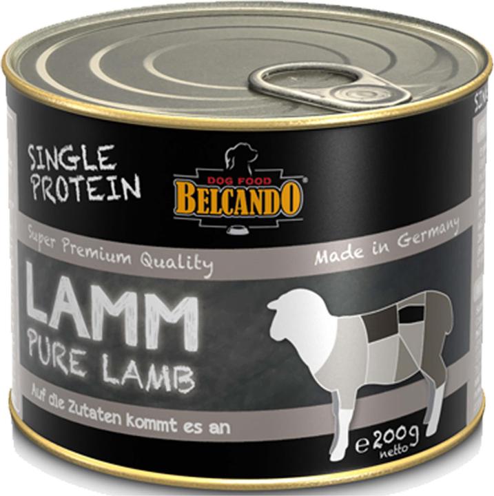 Lamm